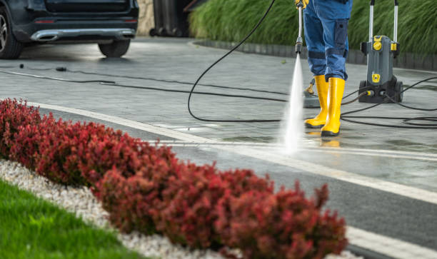 Best Patio and Deck Pressure Washing  in Tropical Park, FL